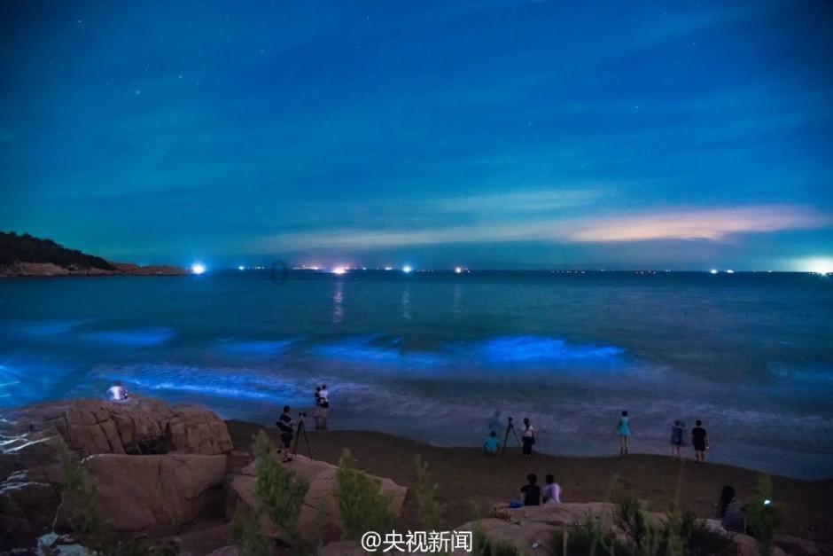 进击的城堡